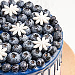 Yummy Blueberry Cake 16 Portion