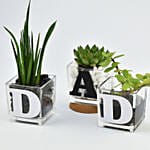 نباتات احتفال يوم الاب