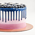 Yummy Blueberry Cake 8 Portion