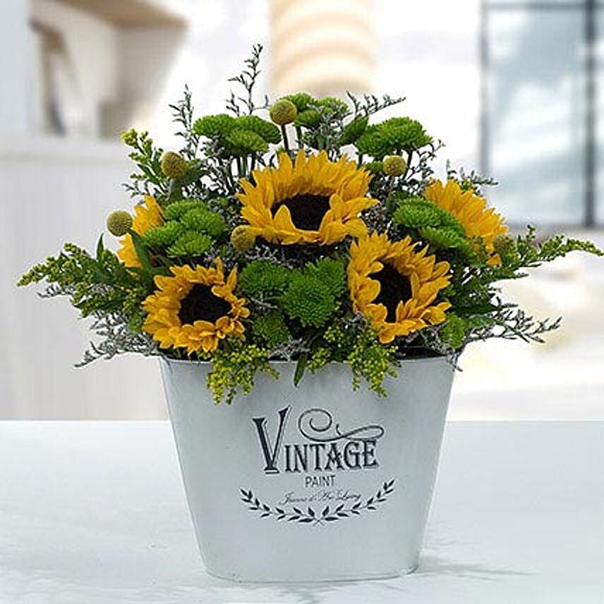 Chrysanthemum Flowers Online