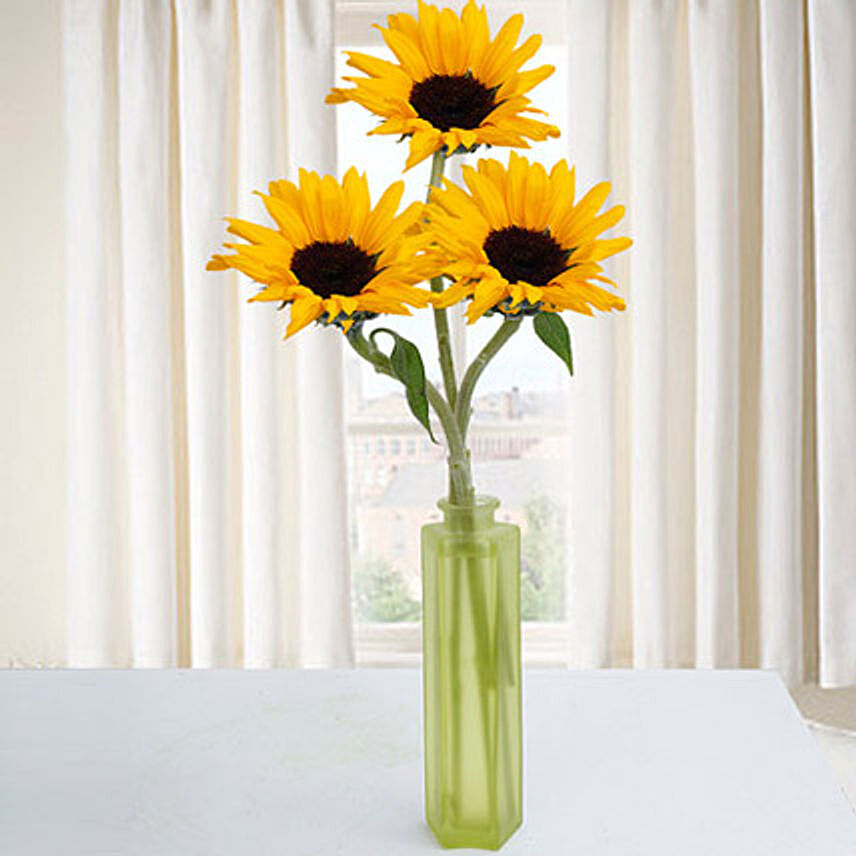 Sunny Sunflower Surprise