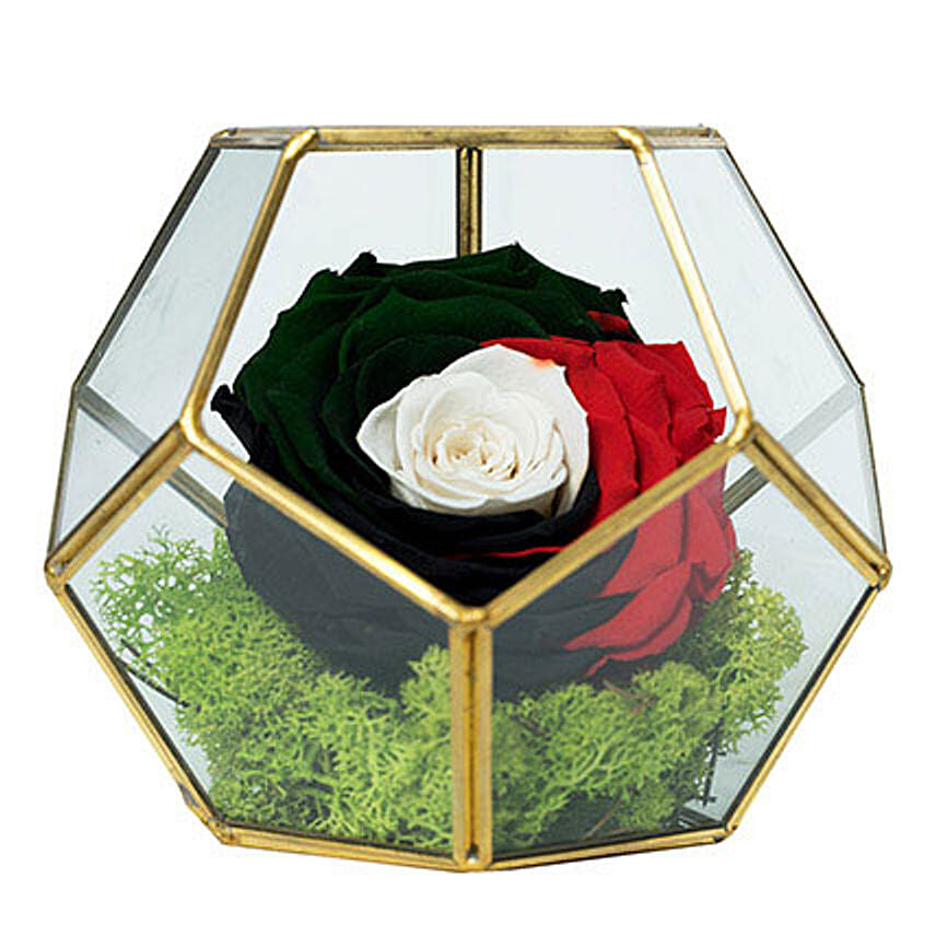 Marvellous Uae Flag Colored Rose