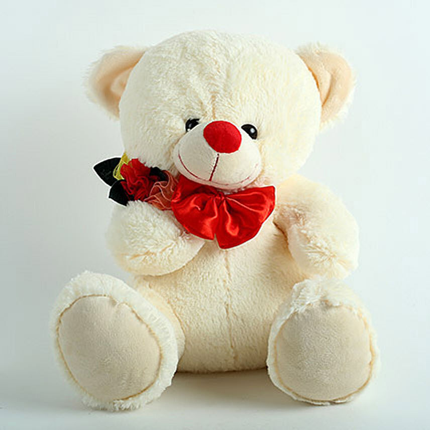 Adorable Valentines Teddy