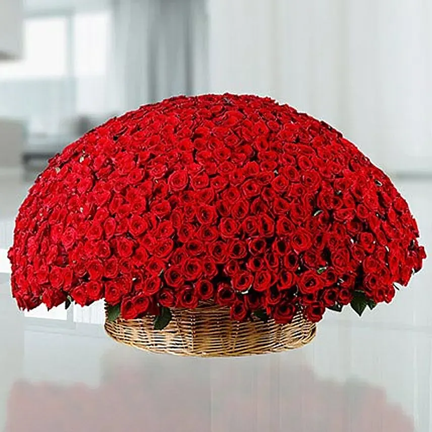 باقة ورد مكونة من 800 وردة حمراء جميلة في سلة من القصب