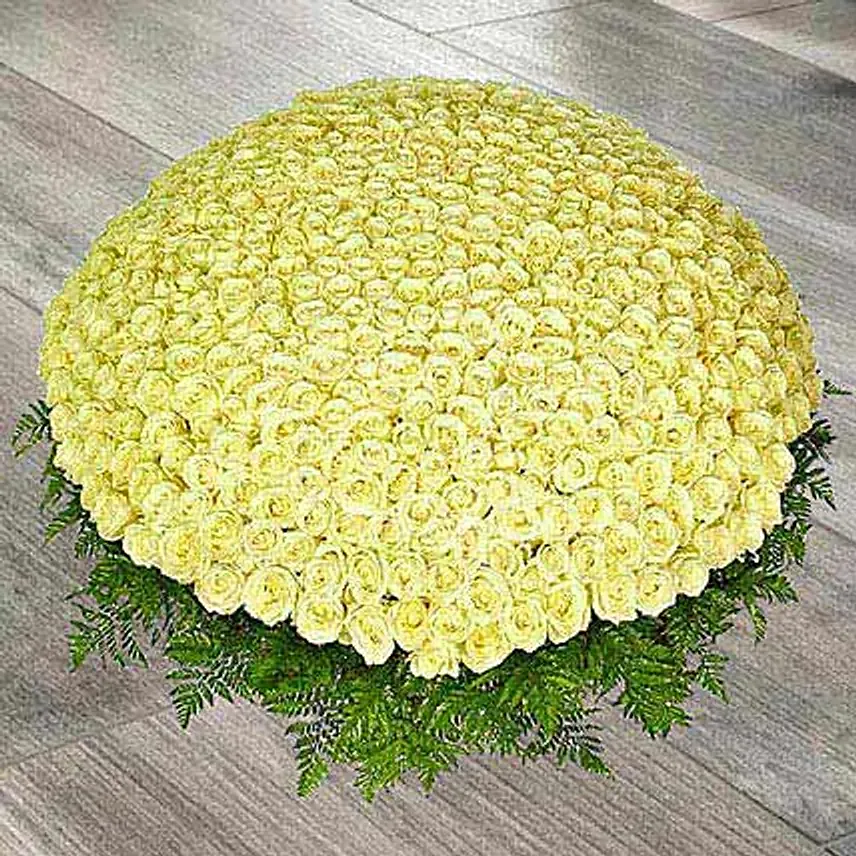 باقة كبيرة مكونة من 500 وردة بيضاء جميلة ترمز للسلام والحب