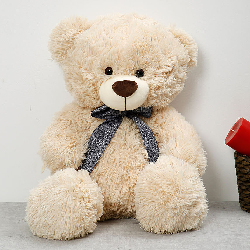 Off White Colour Adorable Teddy Bear