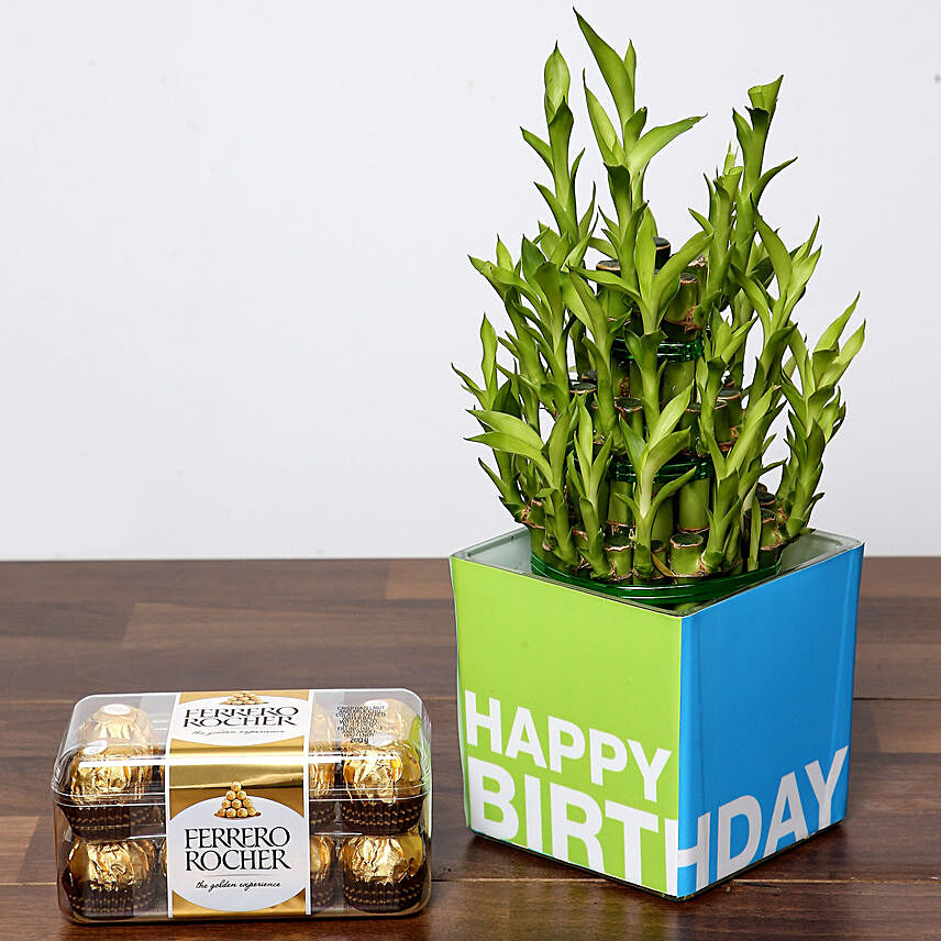 3 Layer Bamboo Plant and Chocolates For Birthday