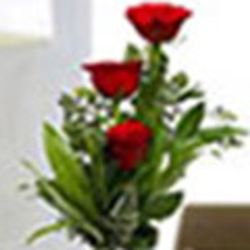 3 Red Roses in a Vase