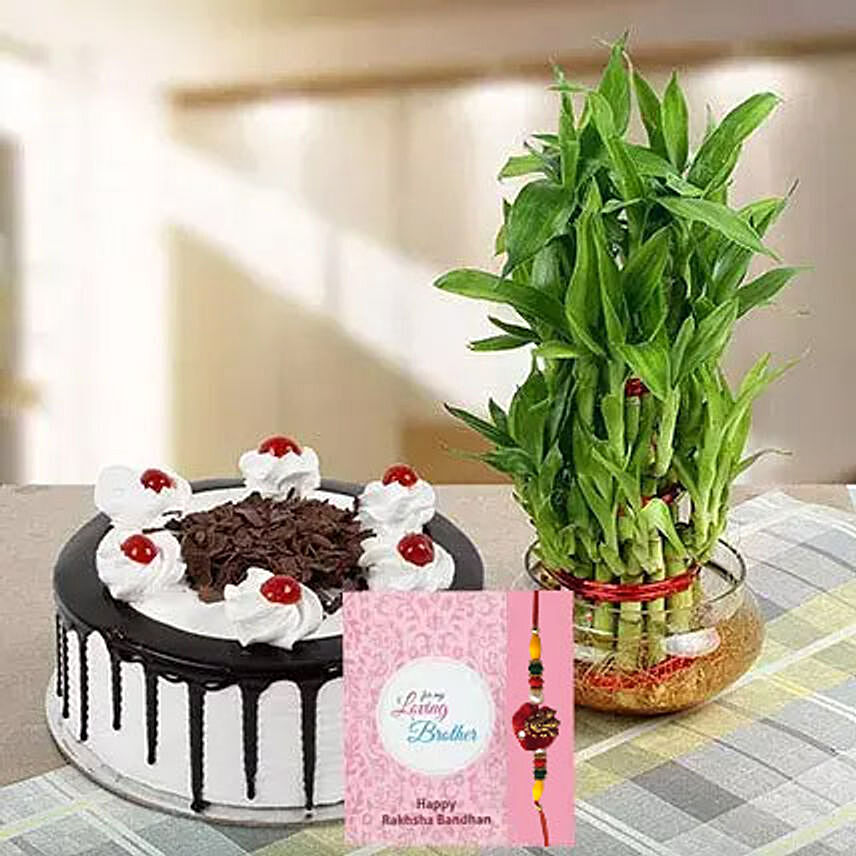 Rakhi with Cake and Plant