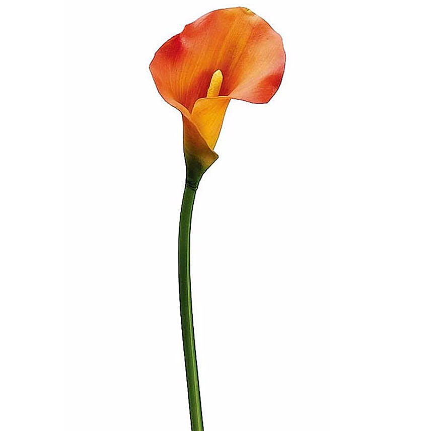 Online 8 Artificial Orange Calla Liliy Sticks Gift Delivery in UAE FNP