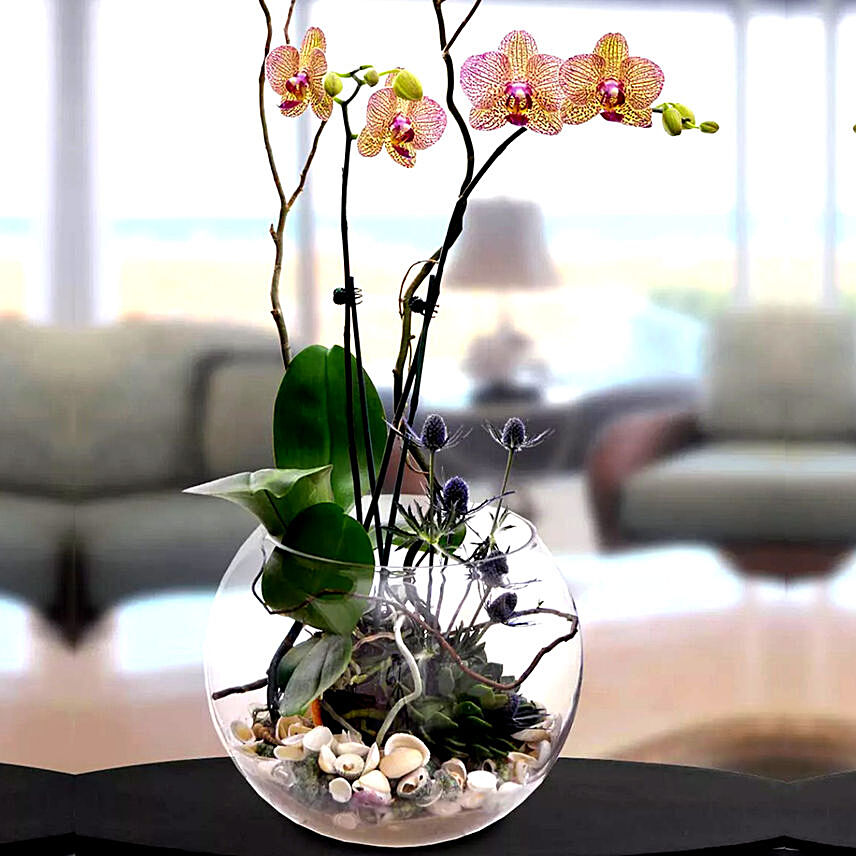 Artificial Real Touch Phalaenopsis Arrangement