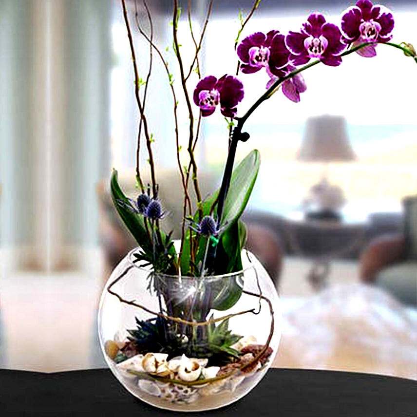 Artificial Real Touch Phalaenopsis