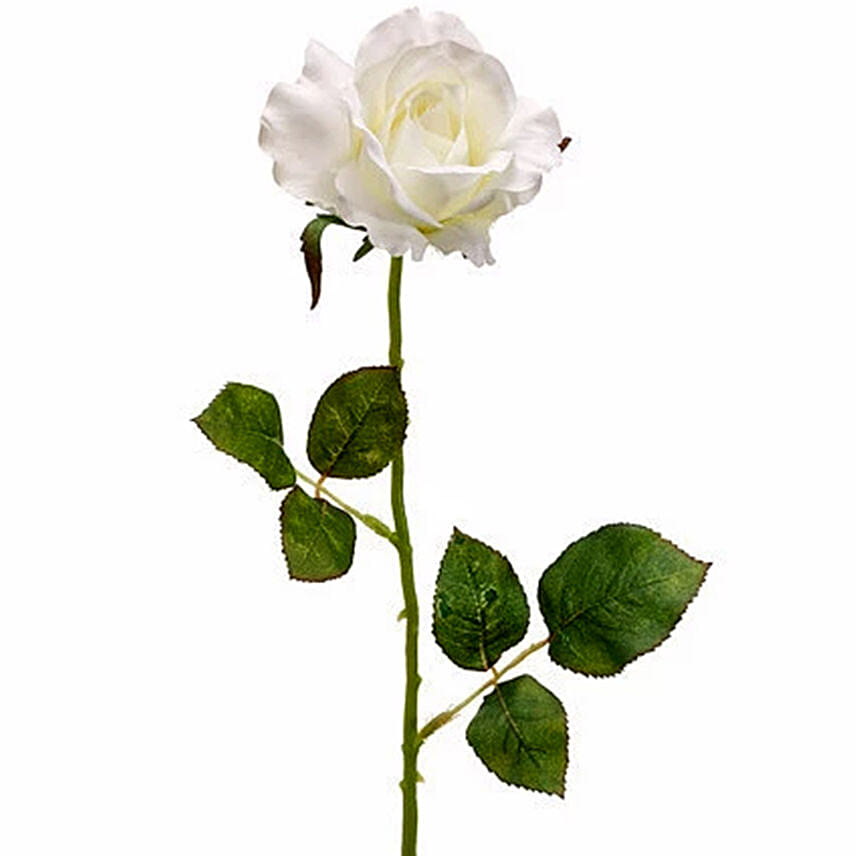 Online 6 Artificial White Roses Gift Delivery in UAE FNP