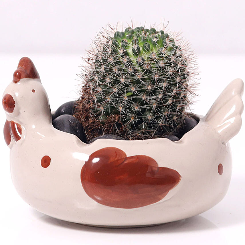 Cactus In Chicken Design Pot