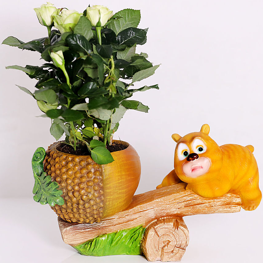 Rose Plant in Relaxing Bear Pot