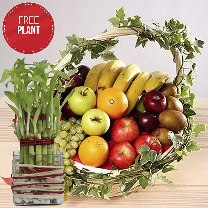 Juicy Fruits Basket with Free Lucky Bamboo