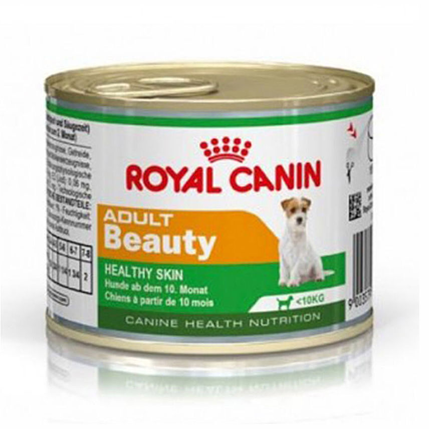 Canine Health Nutrition Mini Adult Beauty