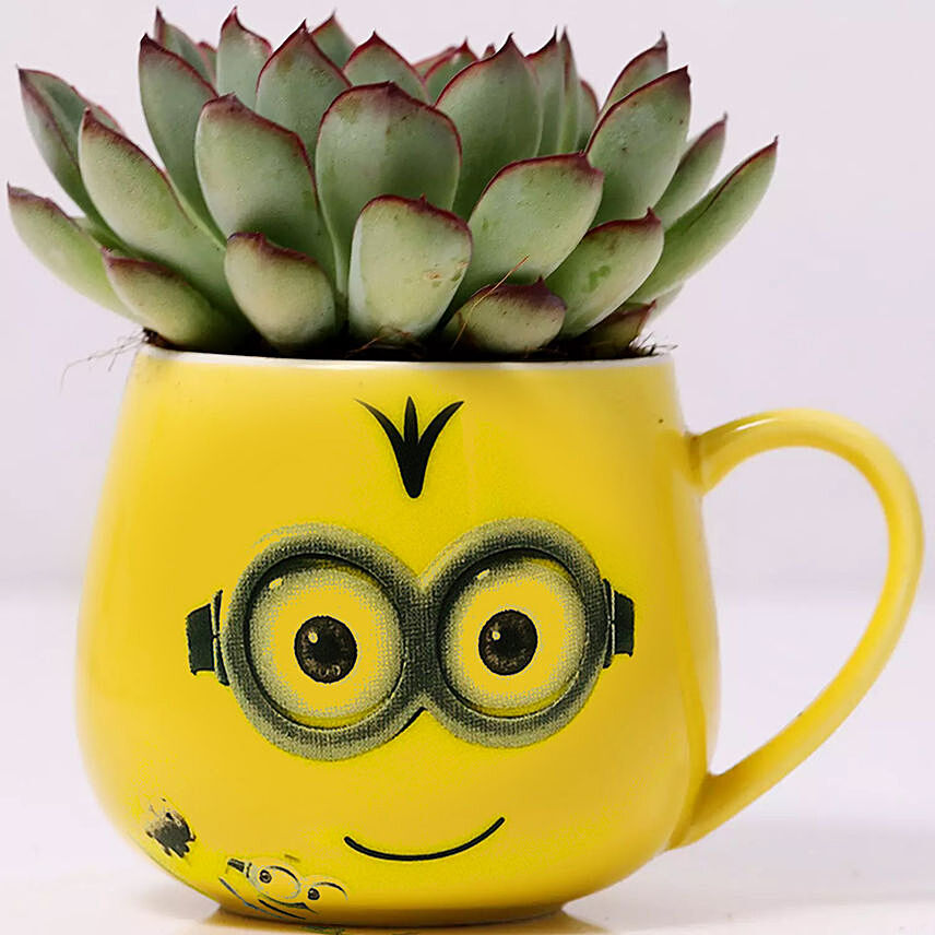 Green Echeveria Plant in Emoticon Mug