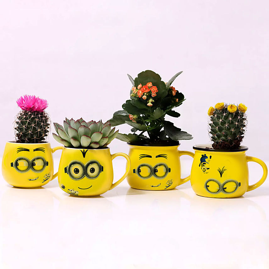 Set of 4 Plants in Emoticon Mugs