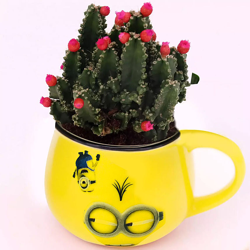 Smiley Pot With Cactus Plant