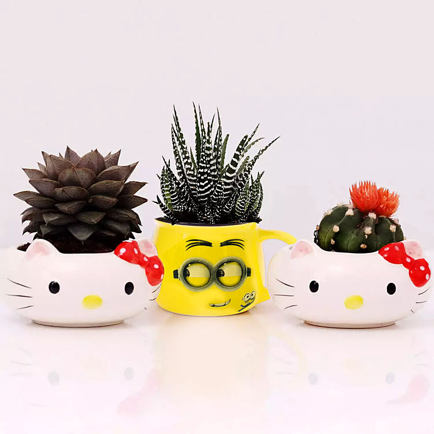 Succulents In Cute Ceramic Pots