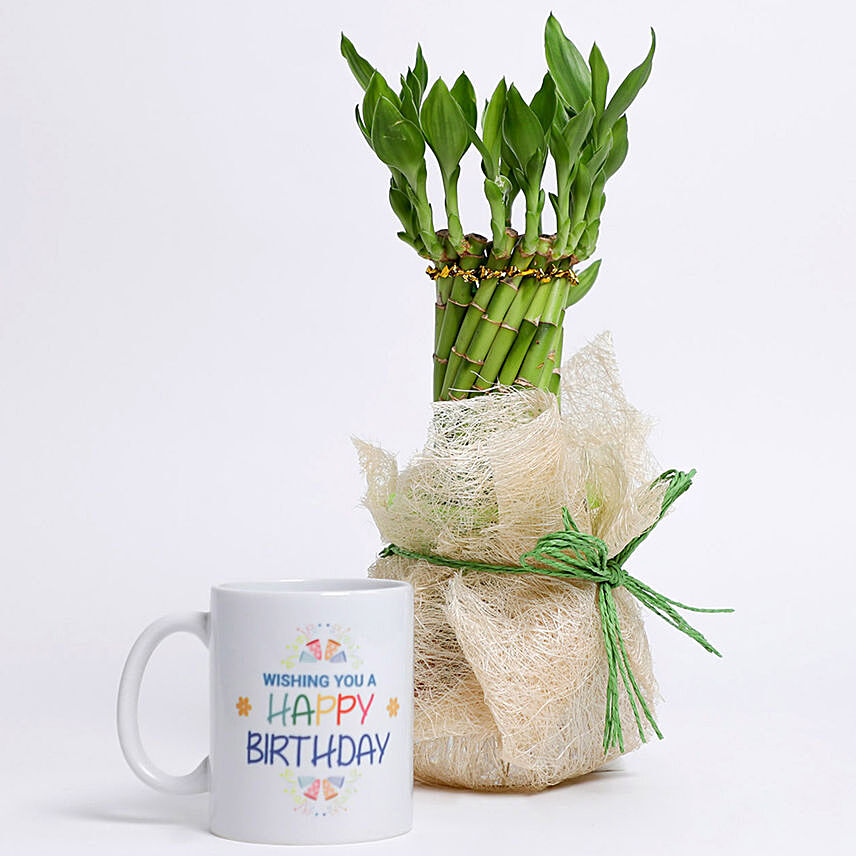 Lucky Bamboo Wheel & Birthday Mug Combo
