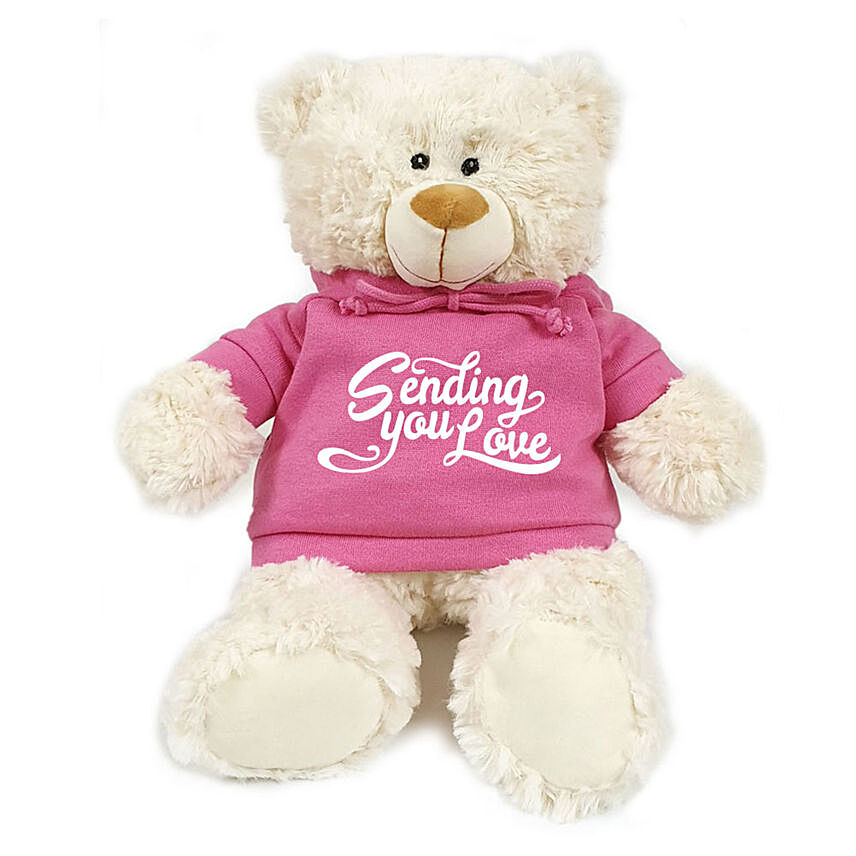 Fluffy Messenger Teddy Bear With Pink Love Hoodie