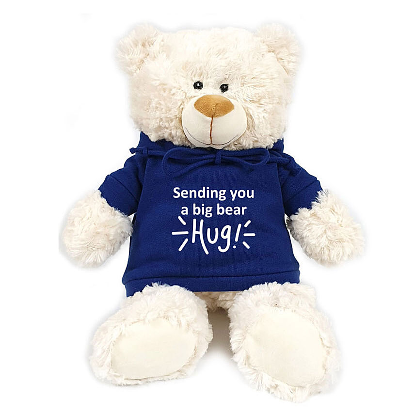 Fluffy Teddy Bear With Blue Hug Hoodie