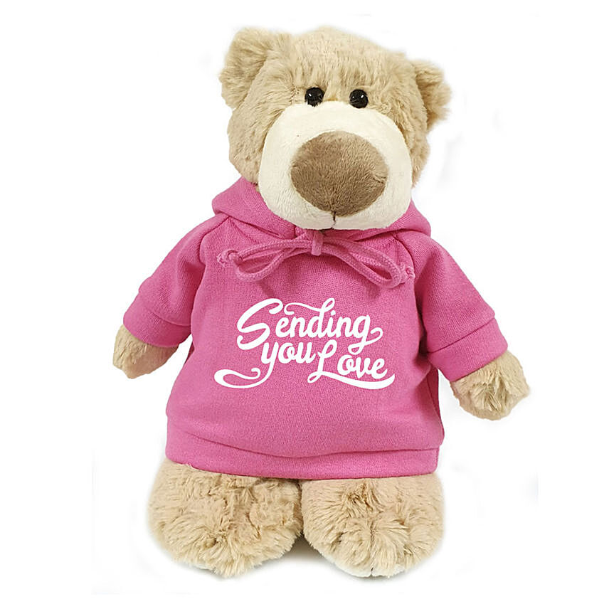 Soft Messenger Mascot Bear With Pink Love Hoodie