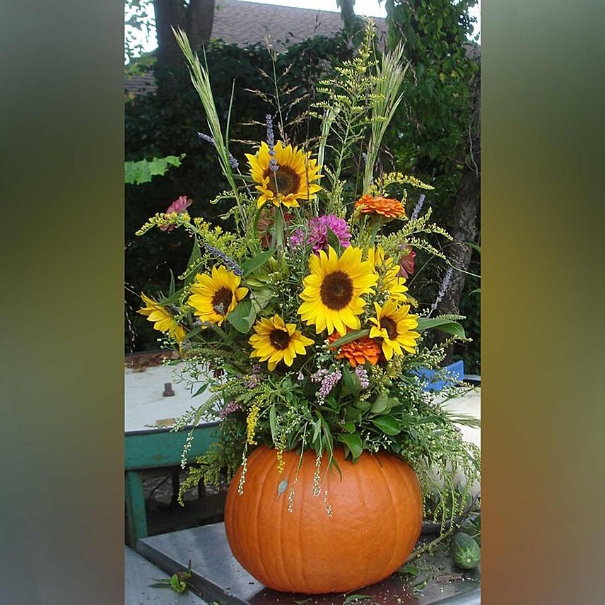 Bright Sunflower Celebration Arrangement