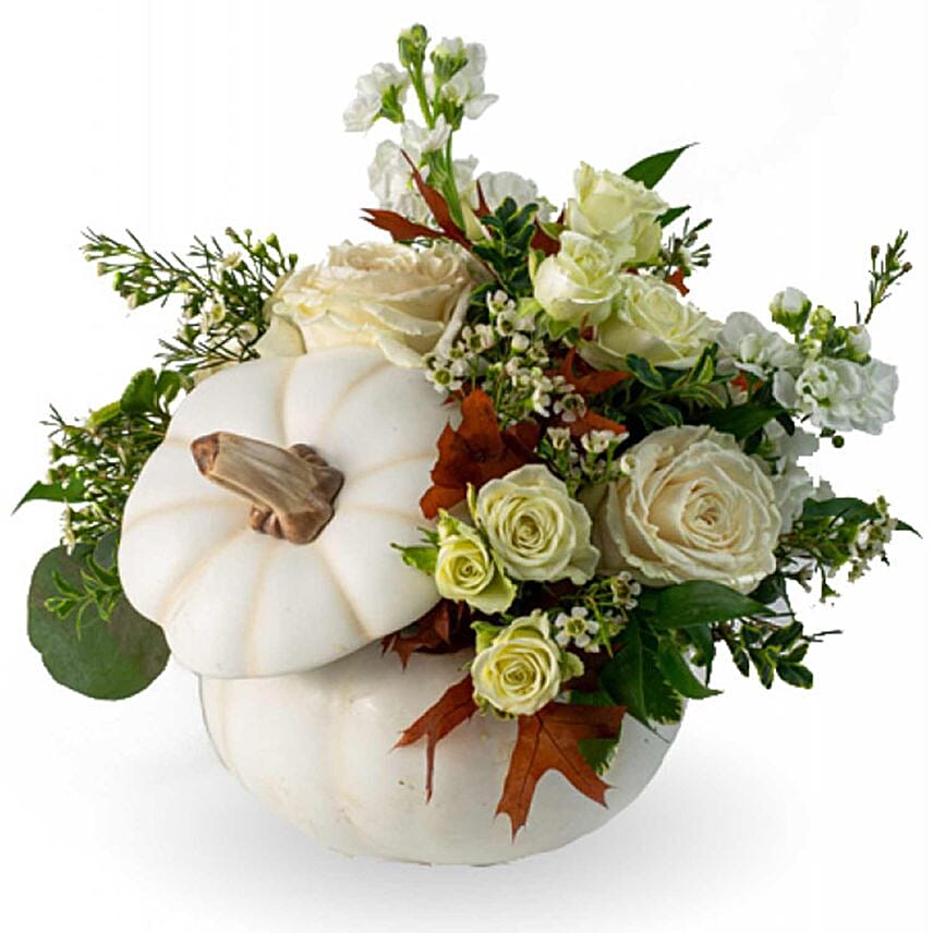 Elegant Blooms Arrangment in Pumpkin