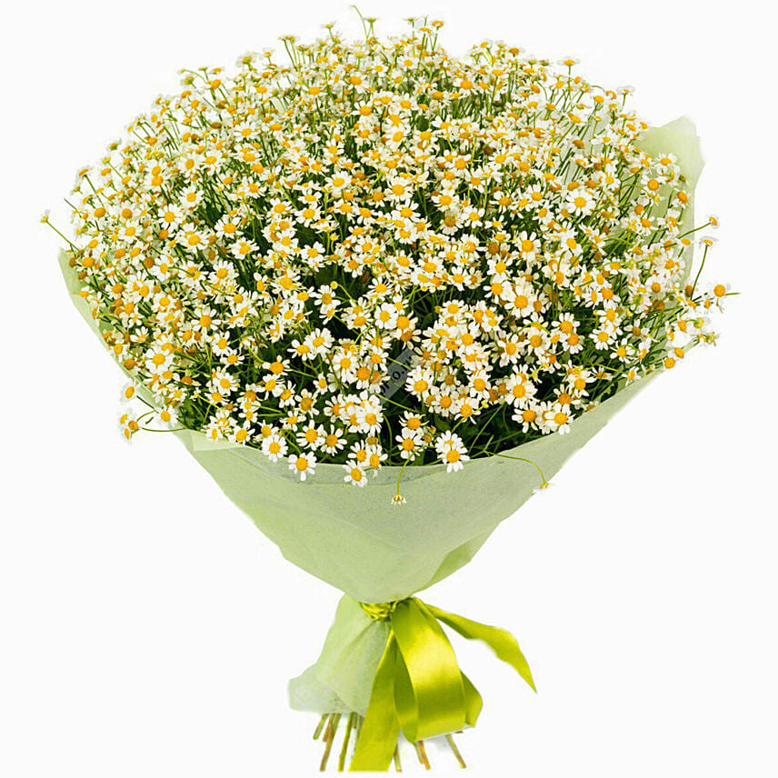 Chamomile Hand Tied Bouquet