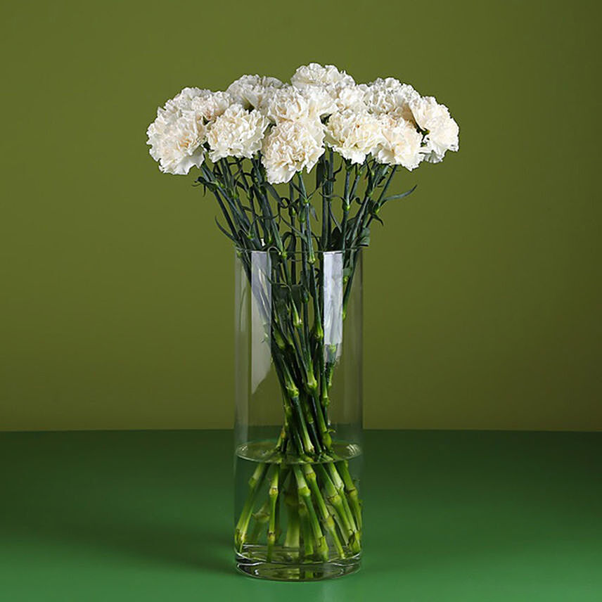 Graceful White Carnation Arrangment