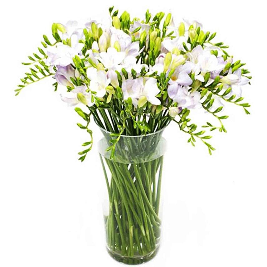 Pure White Freesias Vase