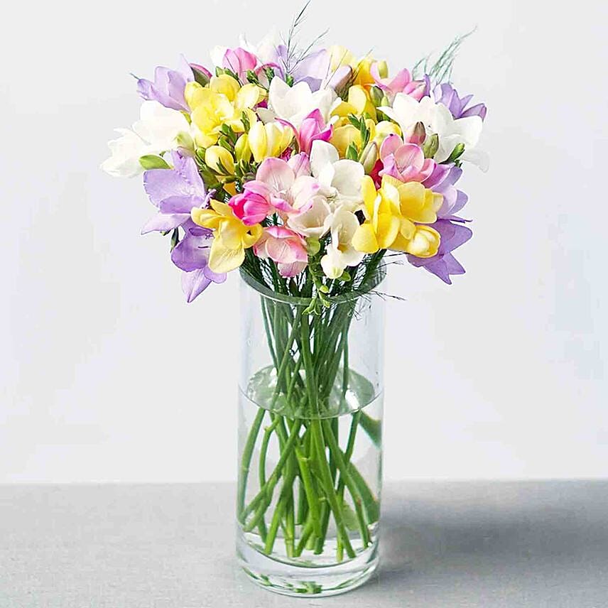 Sunny Freesia Mix