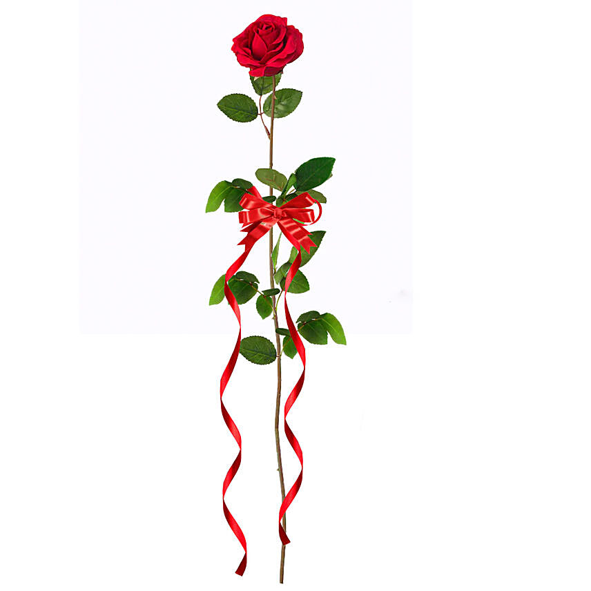 Single Long Stemmed Rose