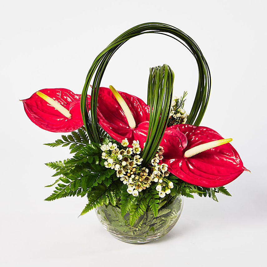 Blissful Red Anthurium Bowl Arrangement