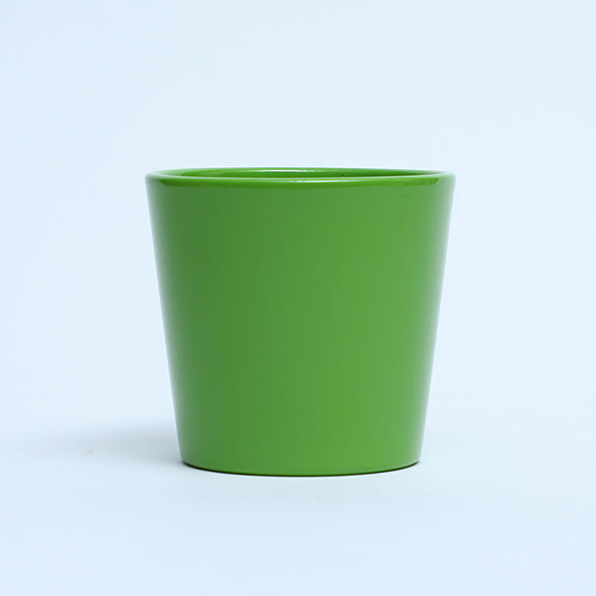 Green Ceramic Planter