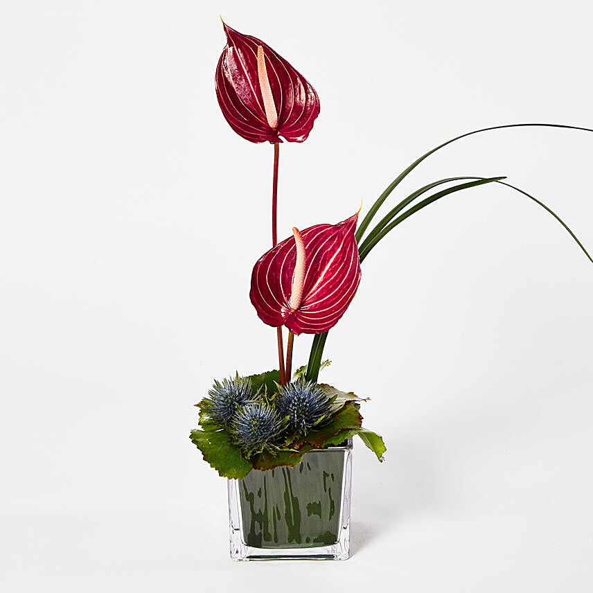 Lovely Anthurium Flowers Vase Arrangement
