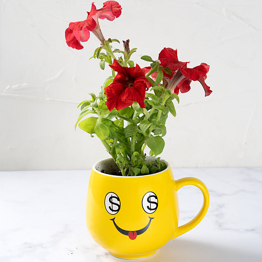 Red Petunia in Smiley Cup