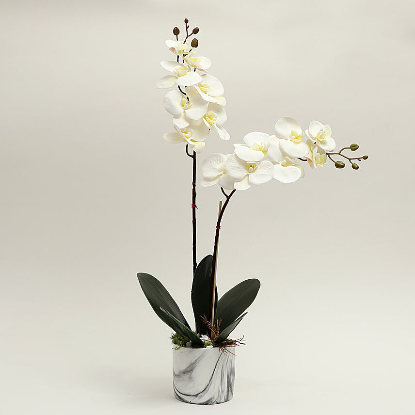 Serene Artificial White Phalaenopsis Vase Arrangement