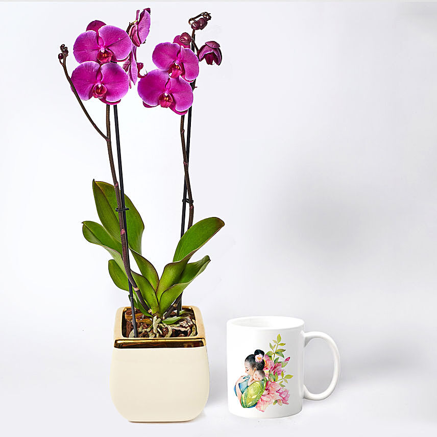 Double Stem Phalaenopsis With Mothers Love Mug