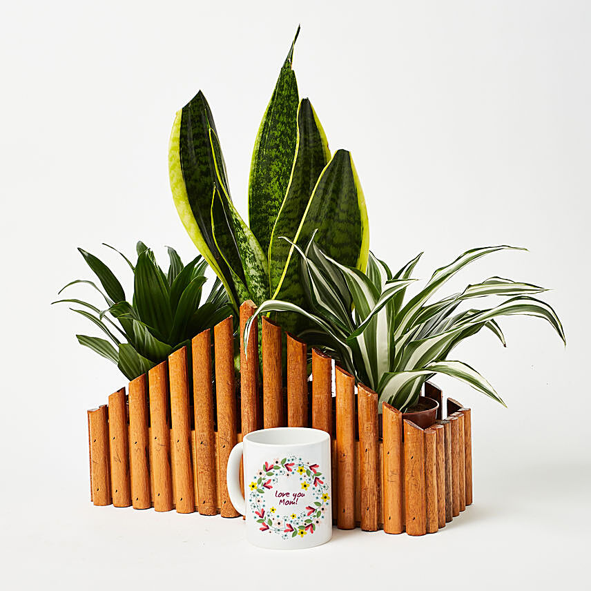Plants Trio With Love You Mom Mug