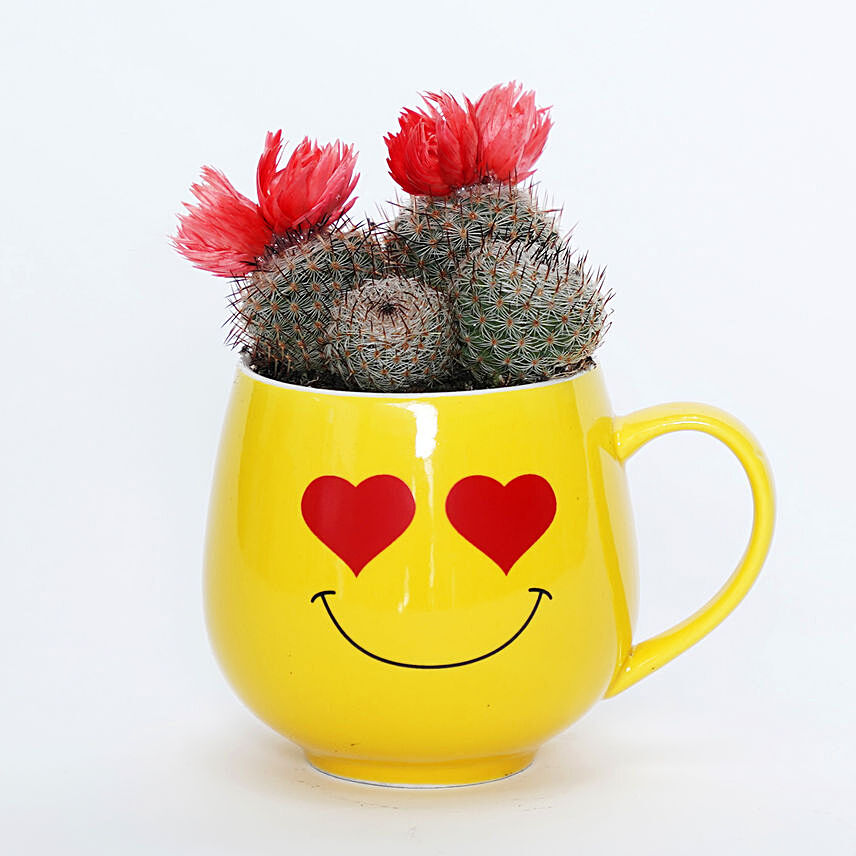 Cactus In Love Smiley Pot