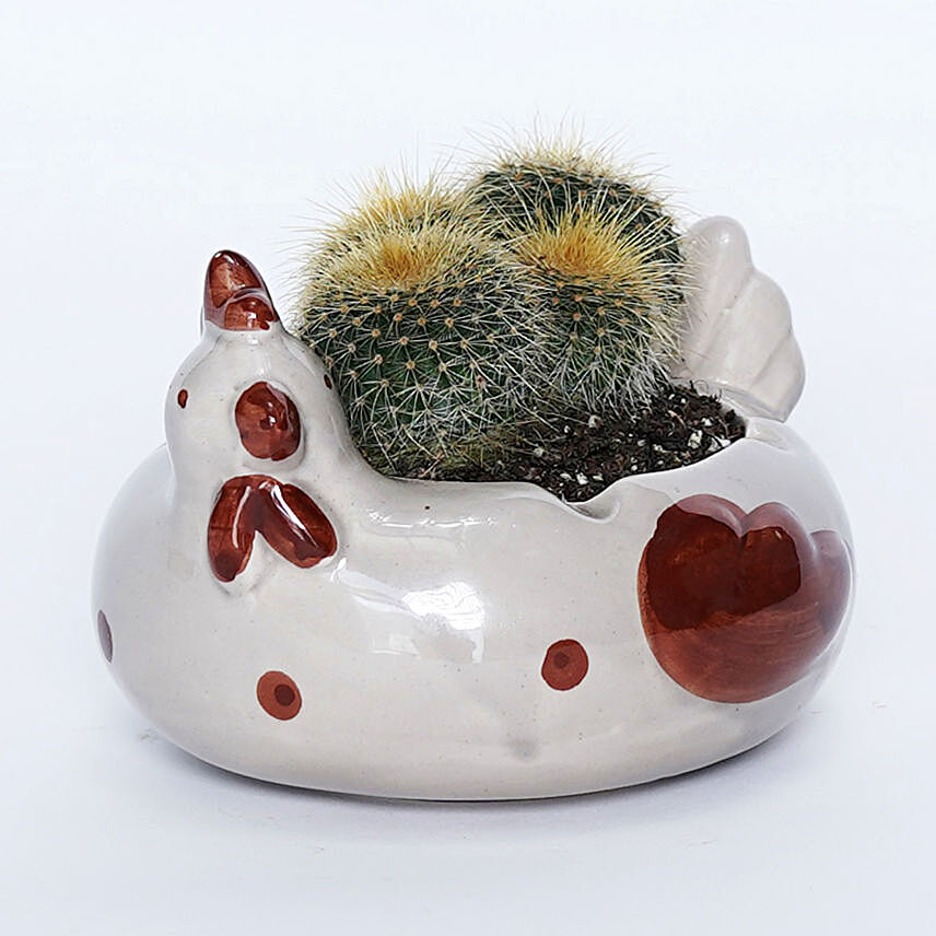 Cactus in Mini Hen Pot