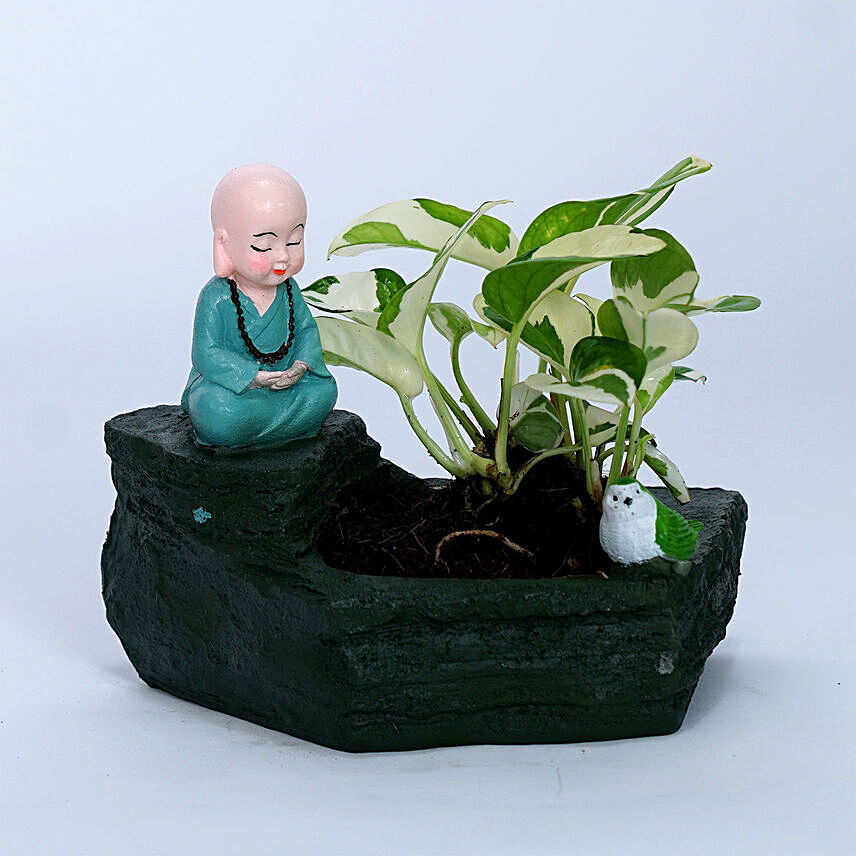 Joy Money Plant in Designer Vase