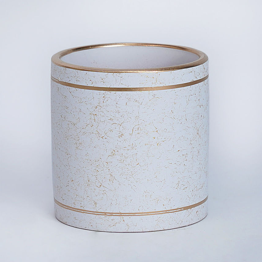 Beautiful Gold N White Ceramic Planter