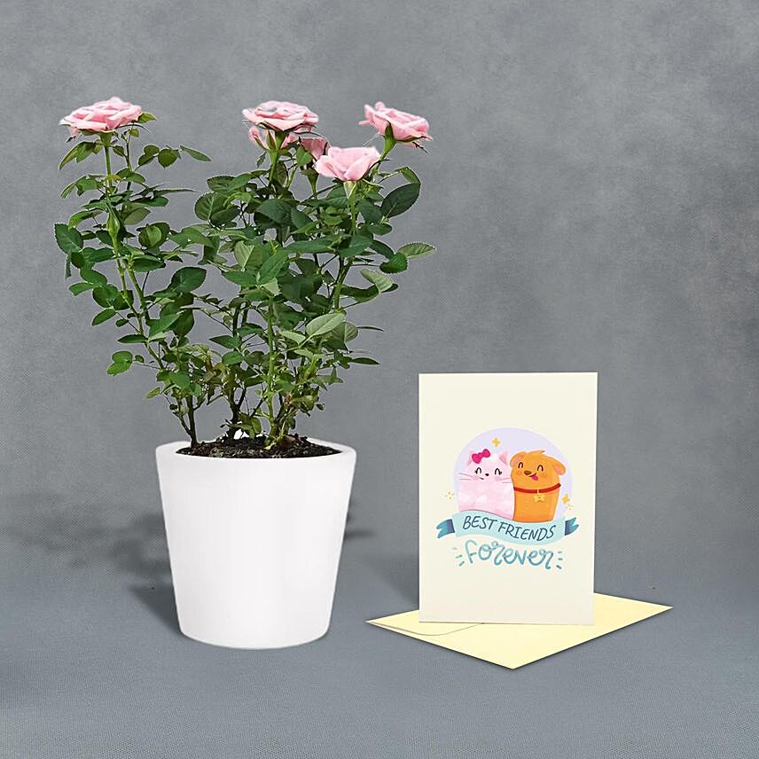 Rose Plant n Friends Greeting Card