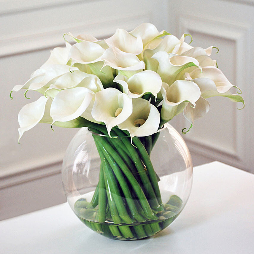 Serene White Calla Lilies Fish Bowl