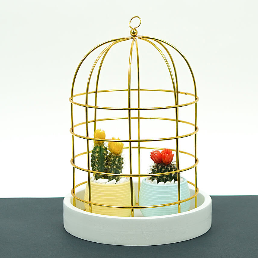 Lovely Flowery Cactus Couple In A Cage